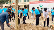 Tuổi trẻ Agribank xung kích đi đầu trong hoạt động tình nguyện vì cộng đồng