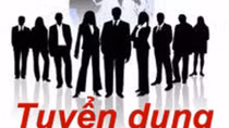 Quảng Ngãi có nhu cầu tuyển dụng hơn 15.000 lao động
