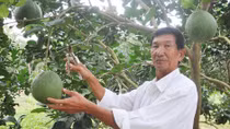 Lão nông hai bằng cử nhân chuẩn bị bảo vệ luận văn thạc sĩ luật