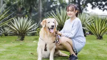 Gương mặt “triệu view” đóng phim: Làn gió mới của màn bạc