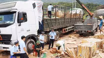 Hàng ngàn thanh gỗ quý hiếm cất giấu tinh vi trong các kiện giấy phế liệu