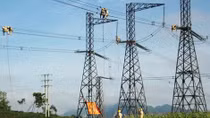 Đắk Nông cắm mốc giới hành lang an toàn lưới điện 220-500kV