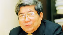 Bông mai nở giữa mùa xuân 