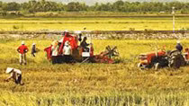 Lấy công nghiệp làm nền tảng để hỗ trợ nông nghiệp