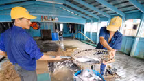 Xuất khẩu thủy sản khó chạm mục tiêu 10 tỷ USD