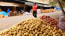 Kiện toàn quy định để kiểm soát nông sản ngoại “đội lốt” hàng Việt