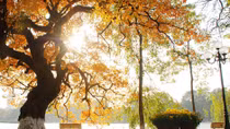 Hương nắng