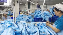 Doanh nghiệp Việt chiếm ưu thế trong xuất khẩu