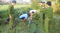 Chiêu trò của các nhà máy xả thẳng nước thải đầu độc môi trường