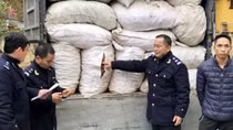 Ba kích Quảng Ninh lo mất “thương hiệu” do nhập lậu tràn lan