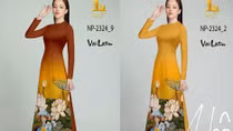 Khi họa sĩ quyết liệt với nạn đạo tranh