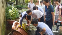 Sốt xuất huyết tăng nhanh, cần phòng dịch để tránh bùng phát