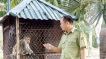 Quyết liệt ngăn chặn buôn bán động vật hoang dã