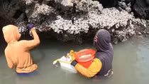 “Phu hàu” giữa biển