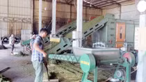 Lên Tây Bắc, thả hồn cùng “đệ nhất trà” Shan Tuyết 