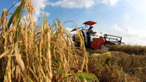 Khơi thông “điểm nghẽn” để đất… “chín Rồng” cất cánh 