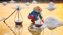Mùa muối đắng