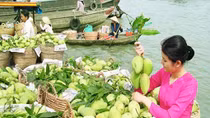 Cần Thơ có bến Ninh Kiều