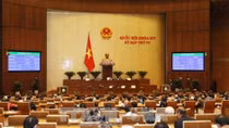 Giám sát việc ban hành nghị quyết và hoạt động của HĐND tỉnh, thành phố trực thuộc Trung ương