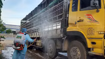 Dịch tả lợn châu Phi tiếp tục lây lan trên địa bàn tỉnh Quảng Nam