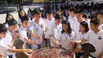 Quảng Trị: Nhiều hoạt động tri ân Ngày Thương binh, Liệt sĩ