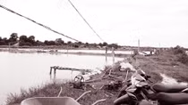 Tìm giải pháp cung cấp nước mặn cho vùng nuôi tôm