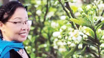 Phan Thị Thanh Nhàn và nửa thế kỷ “Hương Thầm”