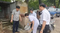 Phòng chống sốt xuất huyết - không thể lơ là!