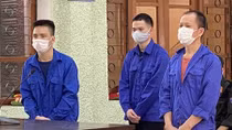 Xét xử 4 bị cáo về tội tổ chức cho người khác xuất cảnh trái phép