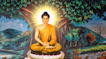 Thần cây đa, ma cây gạo…