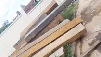 Hàng chục mét khối gỗ tang vật … biến mất