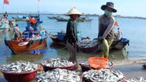 Quyết liệt giải quyết sự cố môi trường biển 4 tỉnh miền Trung