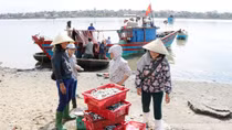 Cần sớm tháo gỡ khó khăn cho ngư dân bám biển