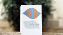 Mắt "bò” và cảm nhận của tôi