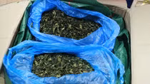 Thu giữ 82,5 kg lá Khát qua đường Bưu chính