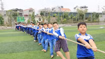 Chương trình giáo dục phổ thông mới: Giảm một nửa các môn học
