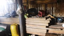 Lúng túng việc xử lý vụ phá rừng quy mô lớn ở núi Tà Lét