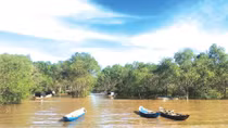 Những vạt rừng mang tên các anh 