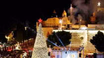 Chiêm ngưỡng cây thông Noel “đồng xu vàng” đắt nhất Châu Âu