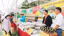 Phê duyệt Chương trình mỗi xã một sản phẩm giai đoạn 2018 - 2020