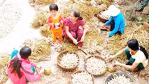 Agribank với chính sách tín dụng linh hoạt phục vụ tốt khách hàng