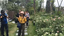 Sắp có "Vương quốc hoa hồng" đầu tiên tại Việt Nam