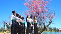 Chơi giữa mùa hoa
