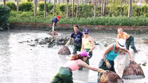 Tìm hướng phát triển cho mô hình du lịch cộng đồng