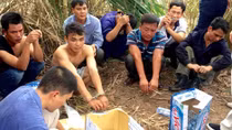 Chiếu bạc trong bãi lau sậy ven sông Cấm