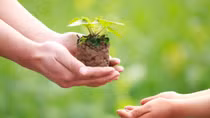 Sống thế nào là đúng đắn?