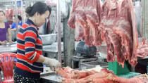 Thủ tướng Chính phủ chỉ đạo đẩy mạnh các giải pháp bình ổn giá thịt lợn