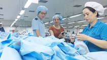 Doanh nghiệp xuất nhập khẩu tìm kiếm cơ hội từ các Hiệp định thương mại tự do