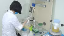 Chế tạo thành công bộ kit phát hiện virus Corona chủng mới