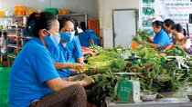 Nhiều khó khăn phát triển kinh tế hợp tác xã